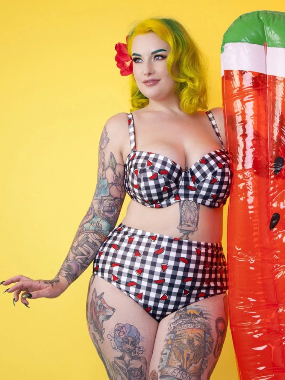 🍉 Collectif x Playful Promises Gingham Watermelon High Waist Swim Bottom Sz S/4 - Picture 3 of 3